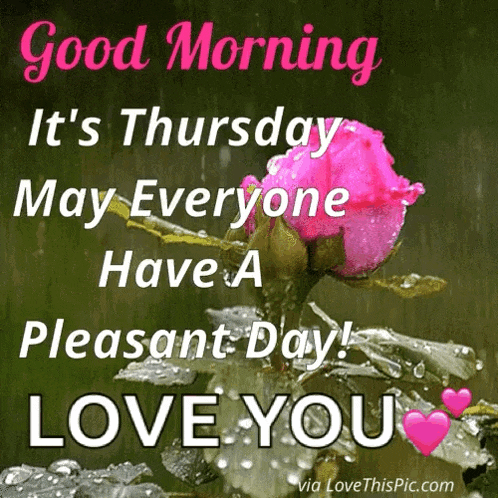 Good Morning Thursday GIF