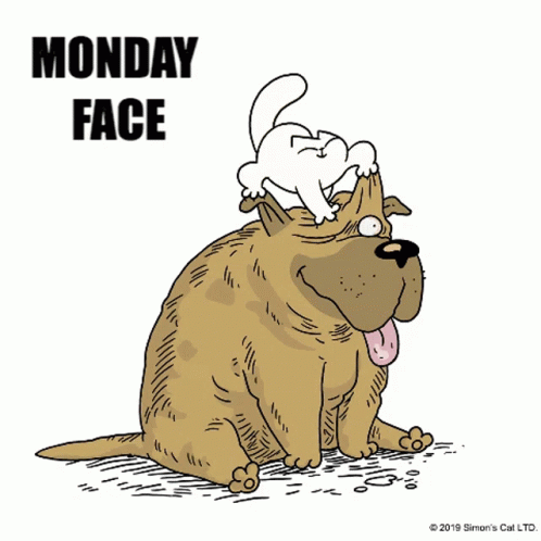 Good Morning GIF