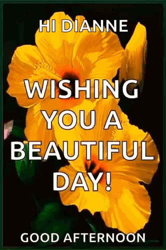 Good Morning GIF