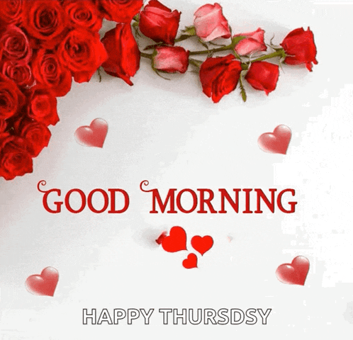 Good Morning GIF