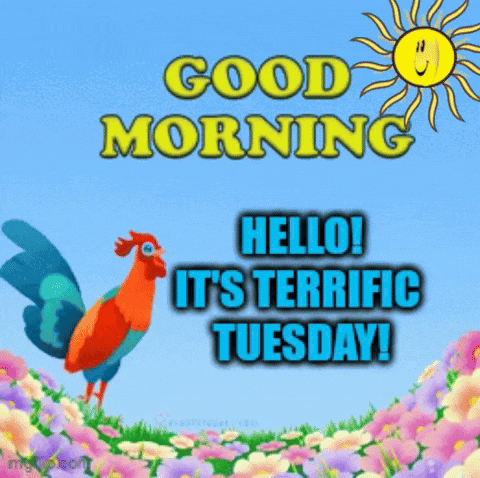 Good Morning Tuesday GIF