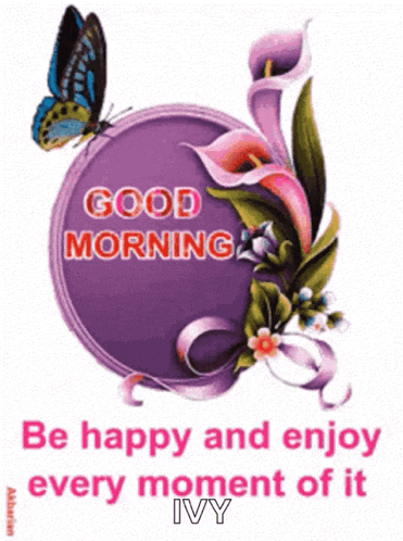 Good Morning GIF