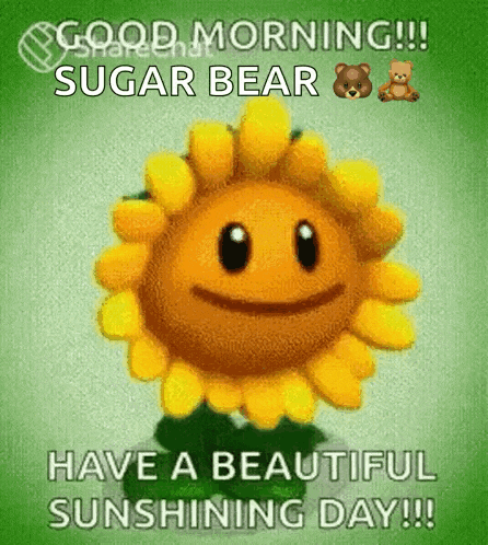 Good Morning GIF
