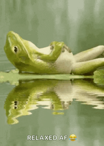 Good Morning GIF