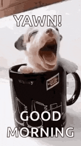 Good Morning GIF