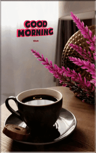 Good Morning GIF