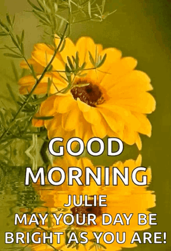 Good Morning GIF