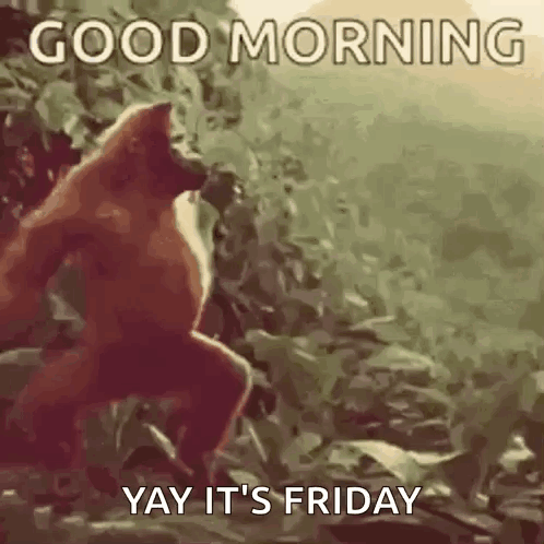 Good Morning GIF