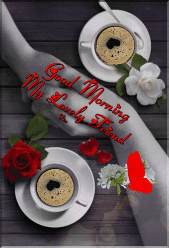 Good Morning GIF