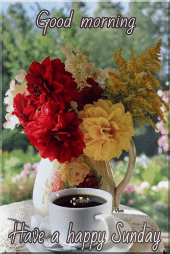 Good Morning GIF