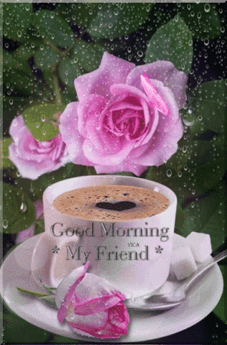 Good Morning GIF