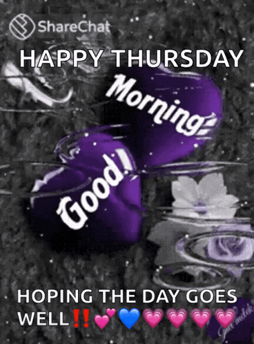 Good Morning GIF