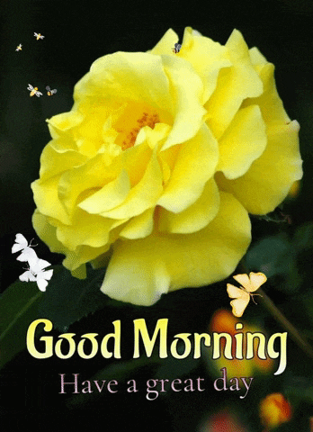 Good Morning GIF