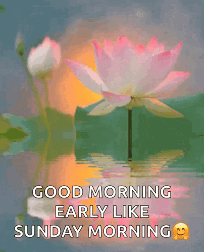 Good Morning Xxx GIF