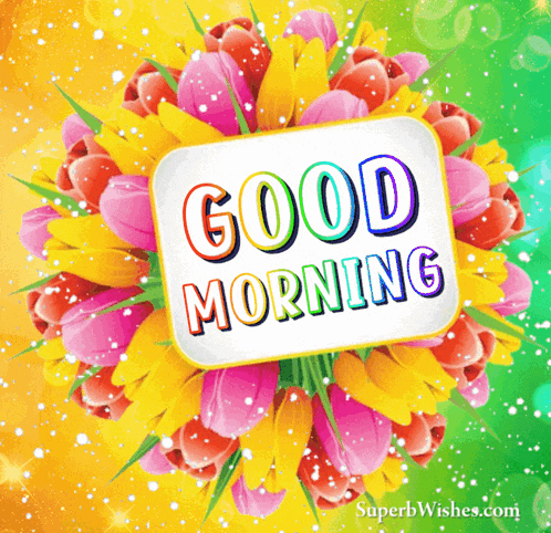 Good Morning GIF
