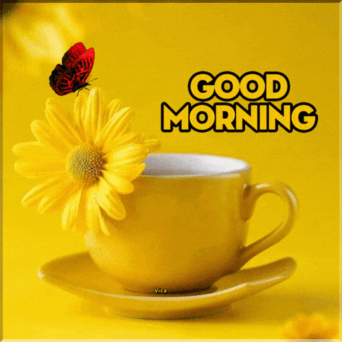Good Morning GIF