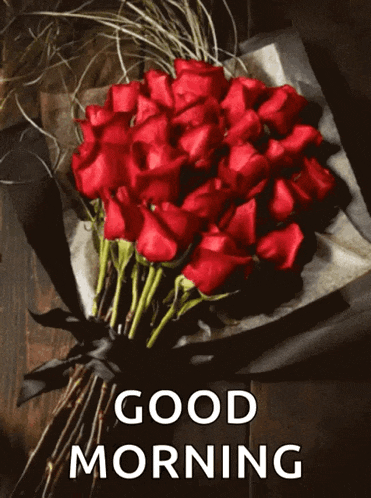 Good Morning GIF