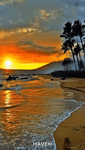 Good Morning GIF