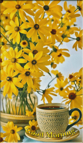 Good Morning GIF