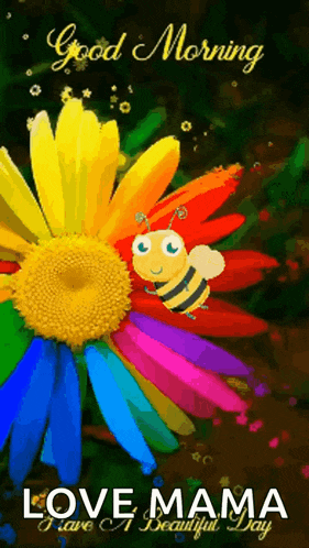Good Morning GIF