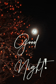 Good Night 2024 Meme