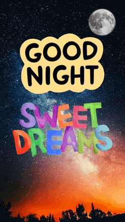 Good Night 2024 Meme
