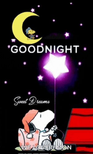 Good Night 2024 Meme