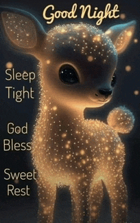 Good Night 2024 Meme