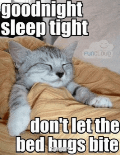 Good Night 2024 Meme