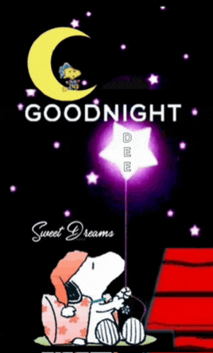 Good Night 2024 Meme