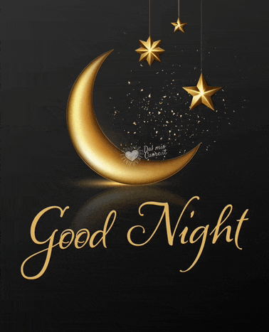 Good Night 2024 Meme