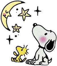 Good Night Baby Good Night Sweet Dreams Meme