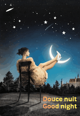 Good Night Bonne Nuit GIF