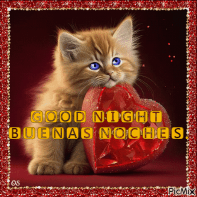 Good Night Buenas Noches GIF