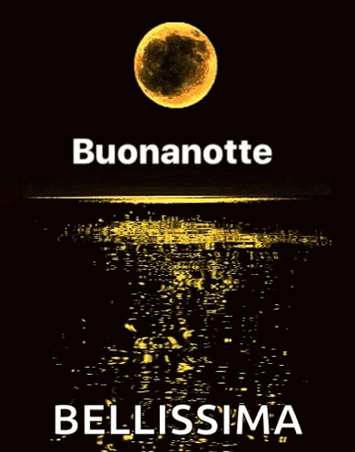 Good Night Buonanotte GIF