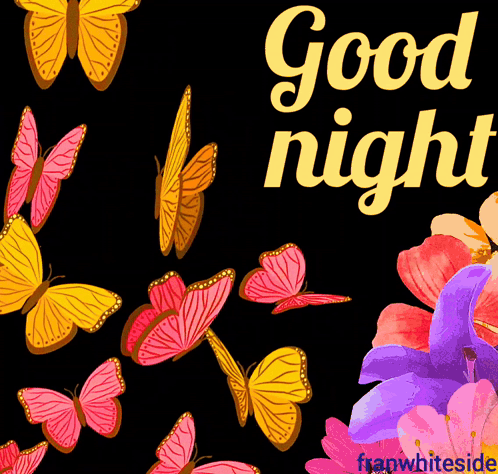 Good Night Butterflies GIF