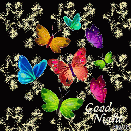 Good Night Butterfly GIF