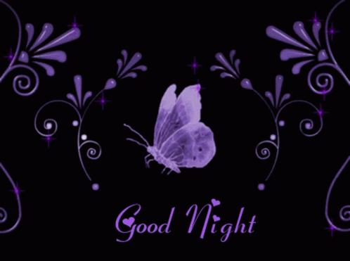 Good Night Butterfly GIF