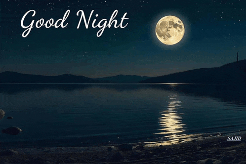 Good Night Bye Good Night Meme