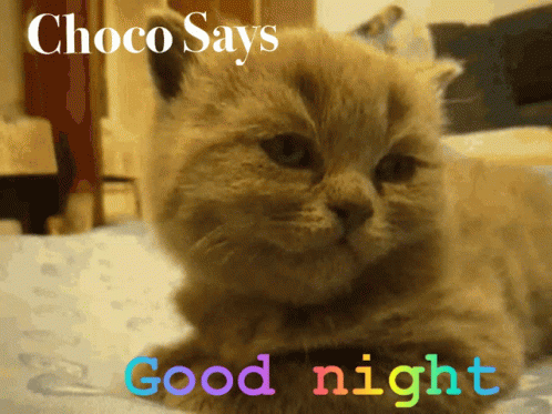 Good Night Choco Says GIF