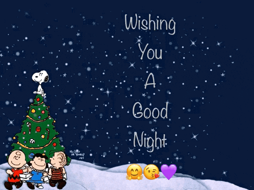 Good Night Christmas GIF