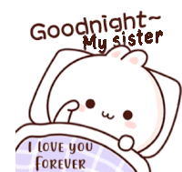Good Night Sticker