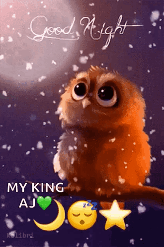 Good Night GIF