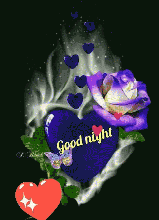 Good Night GIF