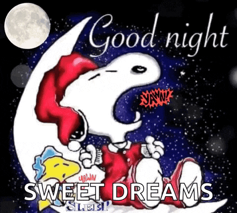 Good Night GIF