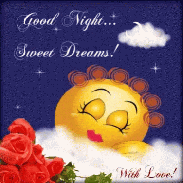Good Night Go To Sleep GIF