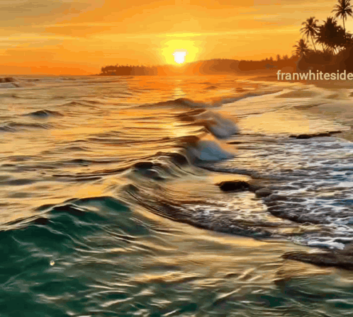 Good Night Golden Light GIF