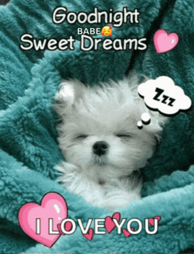 Good Night Good Night 2024 Meme