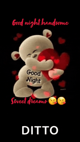 Good Night Good Night Sweet Dreams Meme