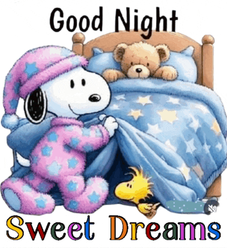 Good Night Goodnight GIF
